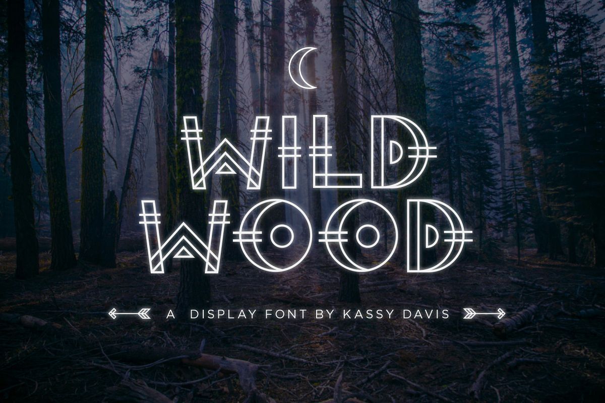 Wild Wood Font & Extras example image 1