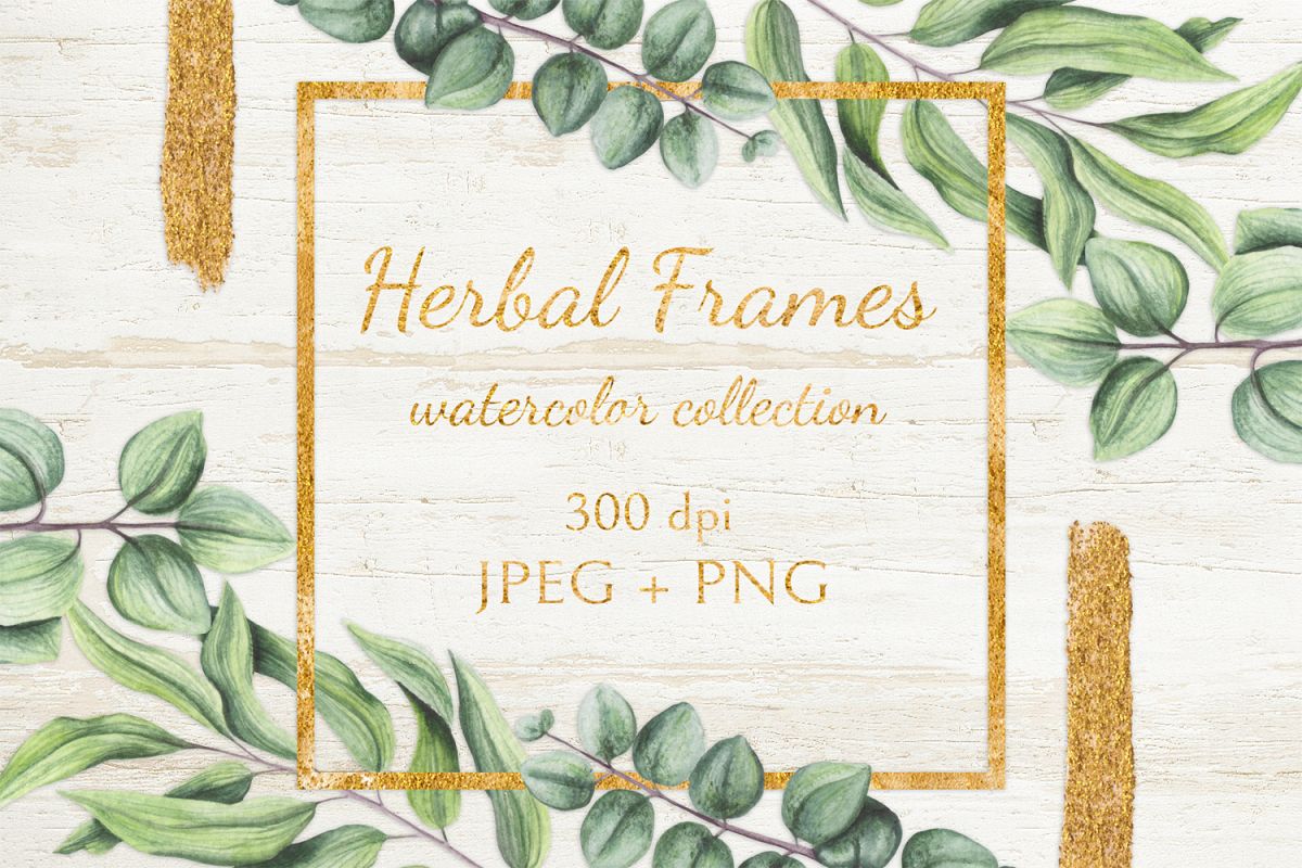 Herbal Frames example image 1