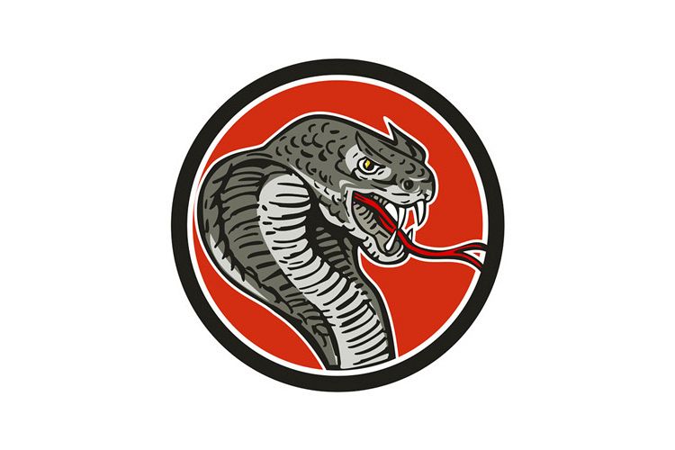 Cobra Viper Snake Circle Retro example image 1
