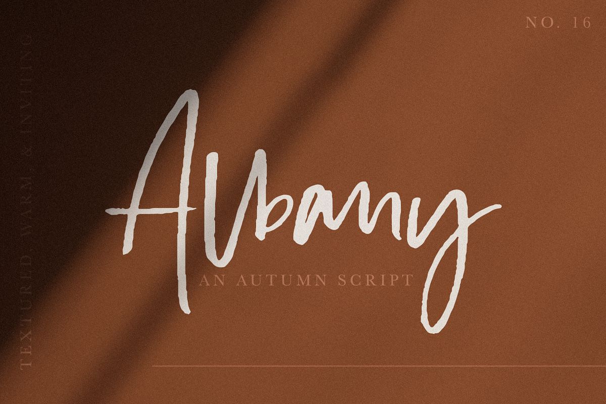 Albany | An Autumn Script example image 1