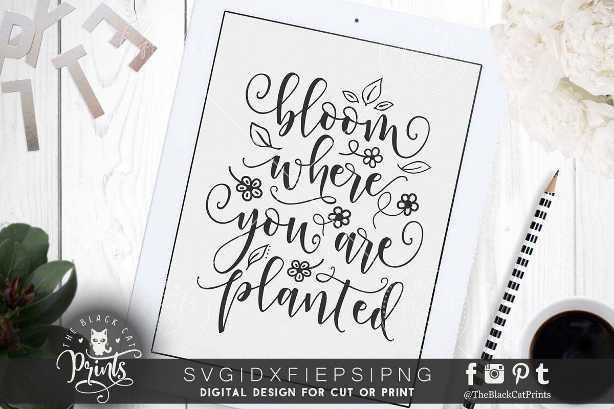 Bloom where you are planted SVG DXF PNG EPS example image 1