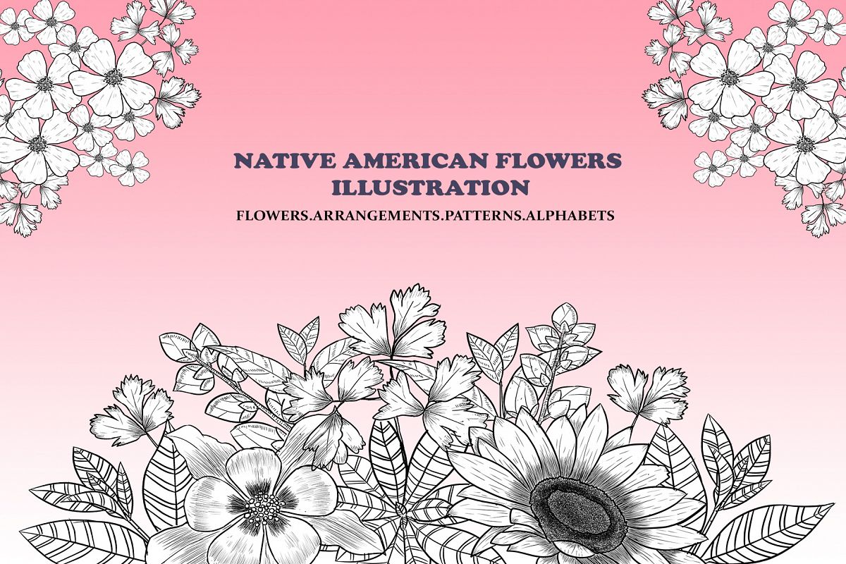 Native American Flowers Illustration example image 1