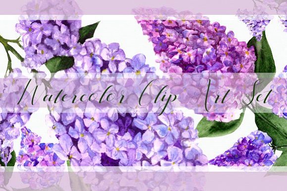 Watercolor Lilac Flowers Clipart Set example image 1