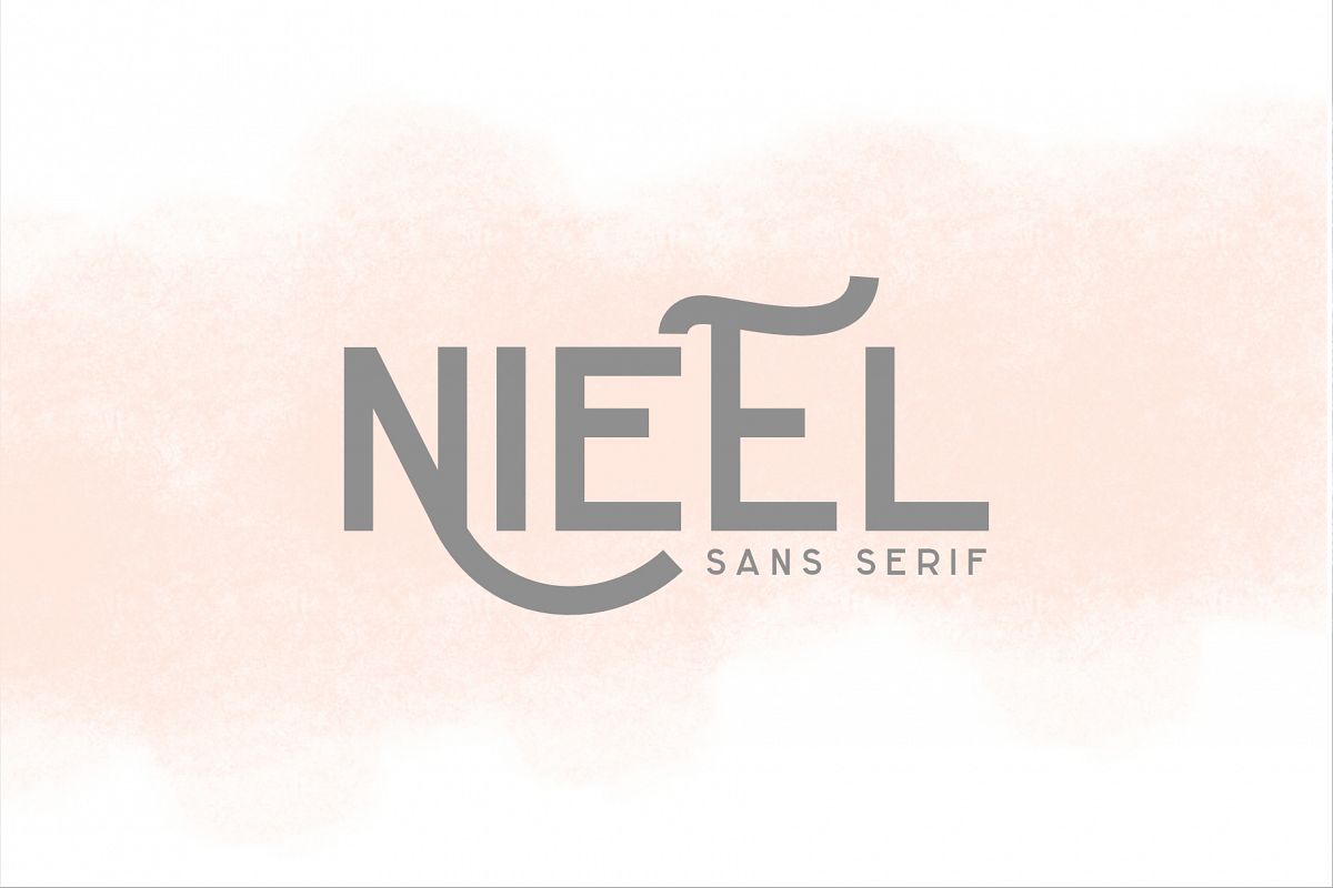 NIEEL example image 1