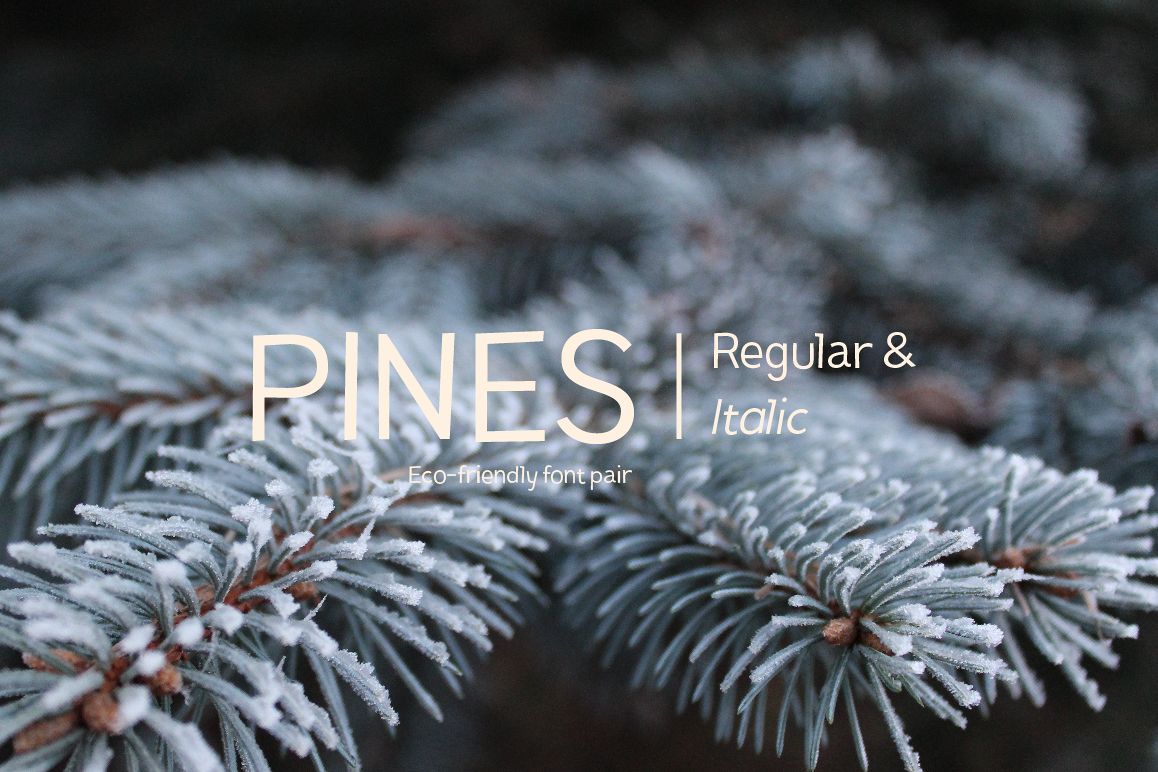 Pines Regular & Pines Italic example image 1