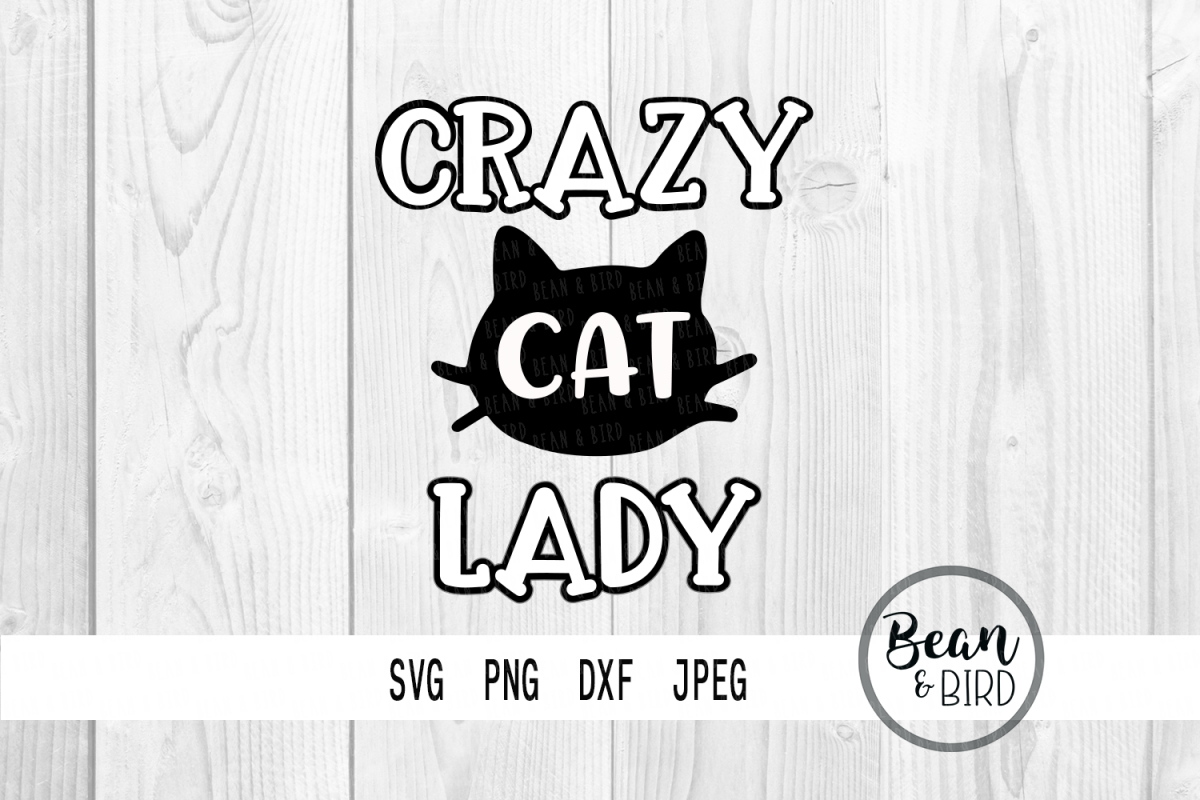 Crazy Cat Lady example image 1