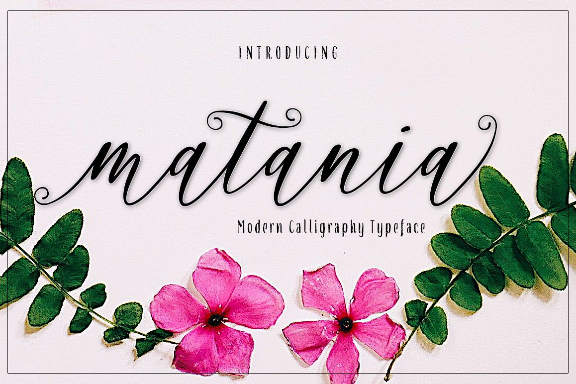 matania script example image 1