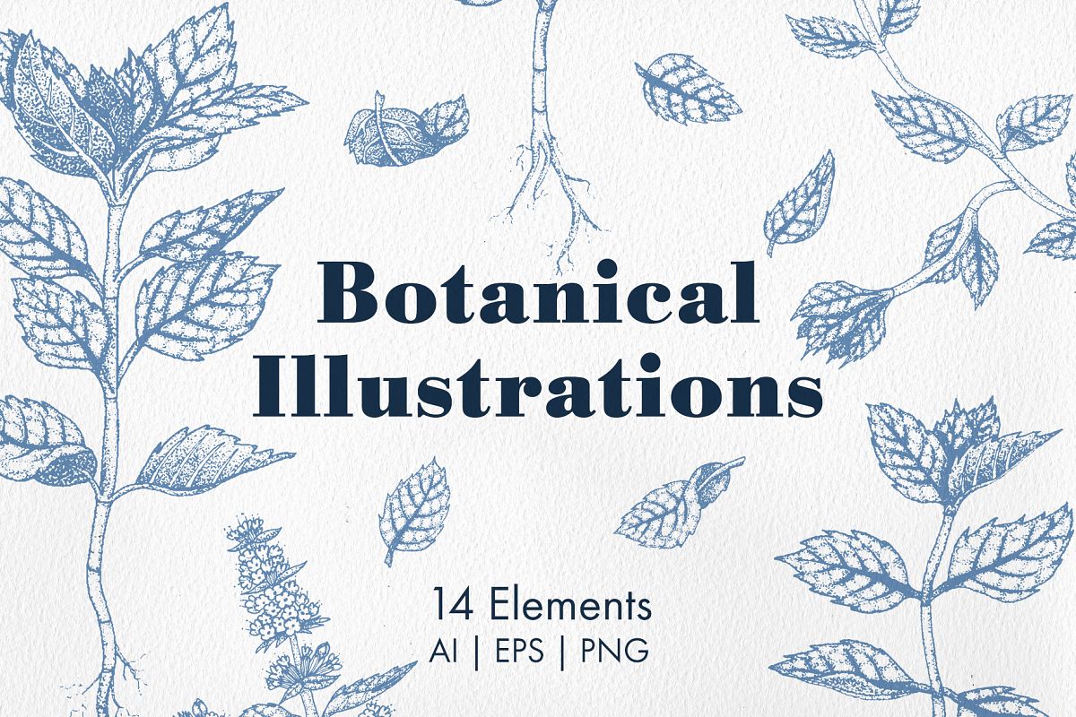 Botanical Illustrations example image 1
