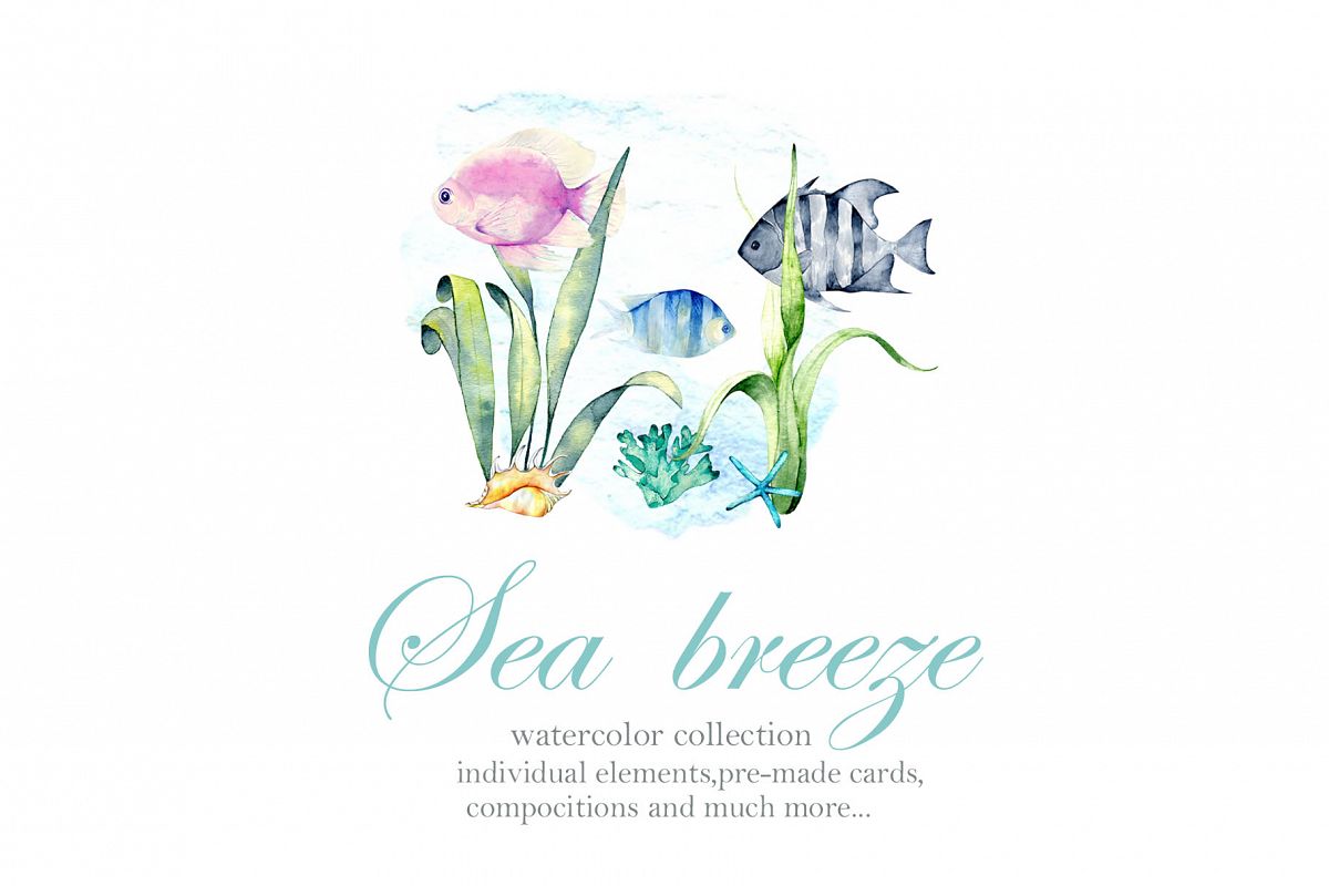 Sea breeze example image 1