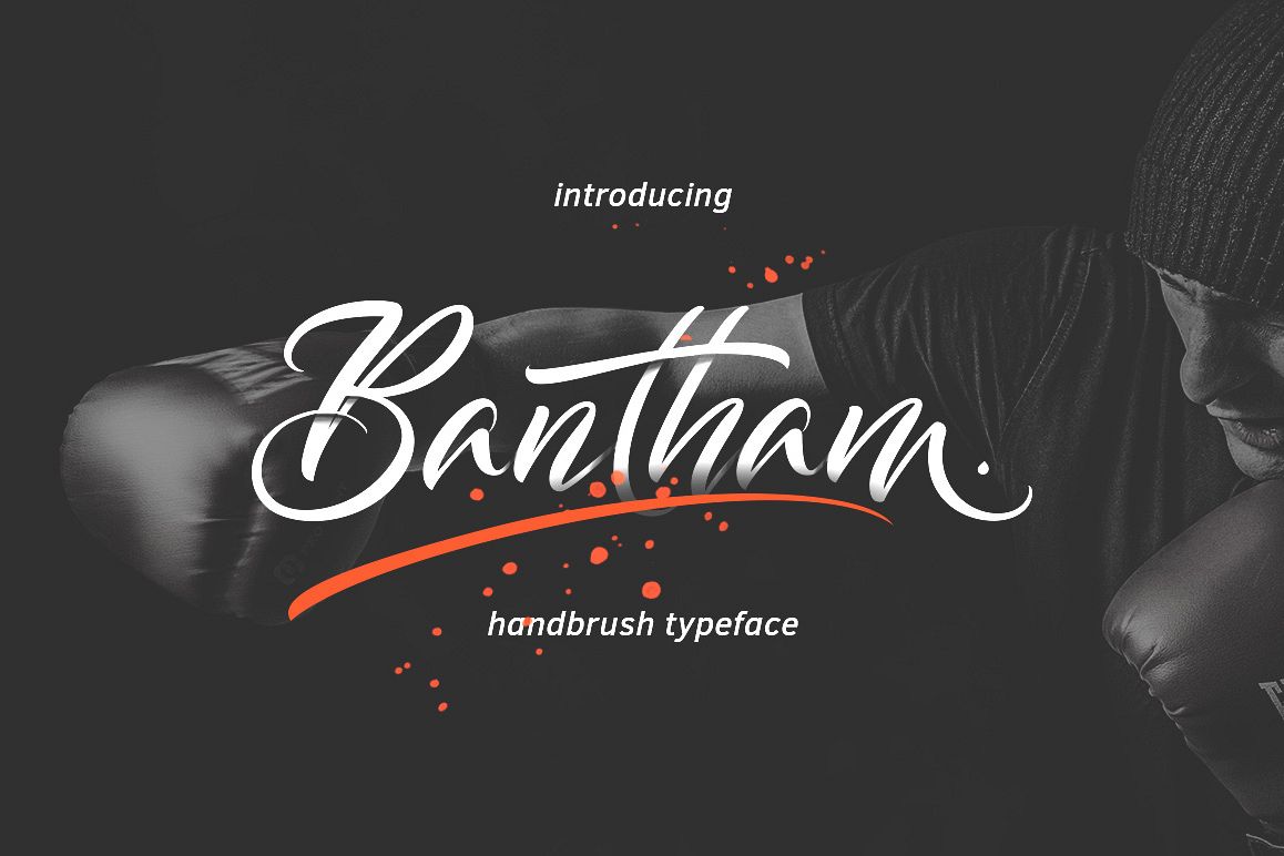 Bantham Typeface example image 1