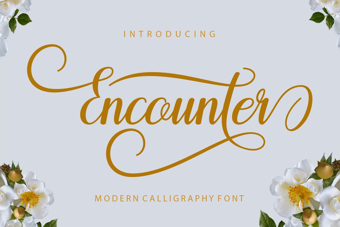 Encounter example image 1