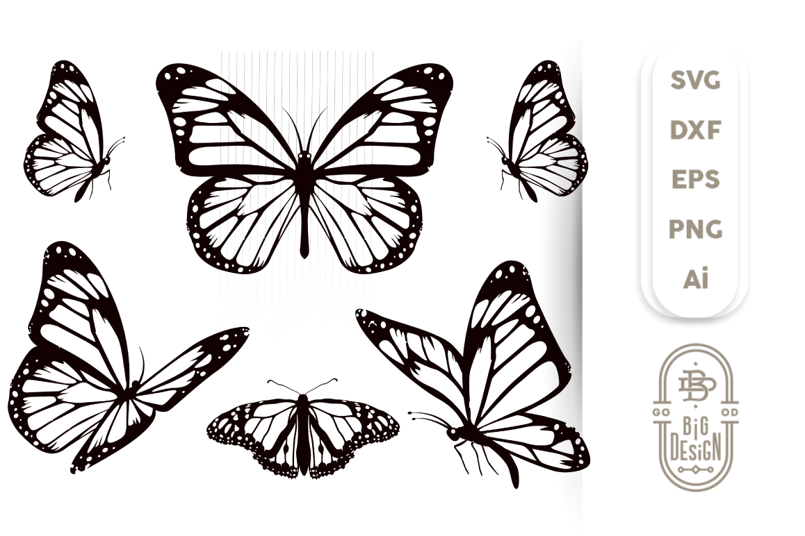 Download Free Download Svg Cut Files For Cricut And Silhouette Free Butterfly Svg Files For Cricut