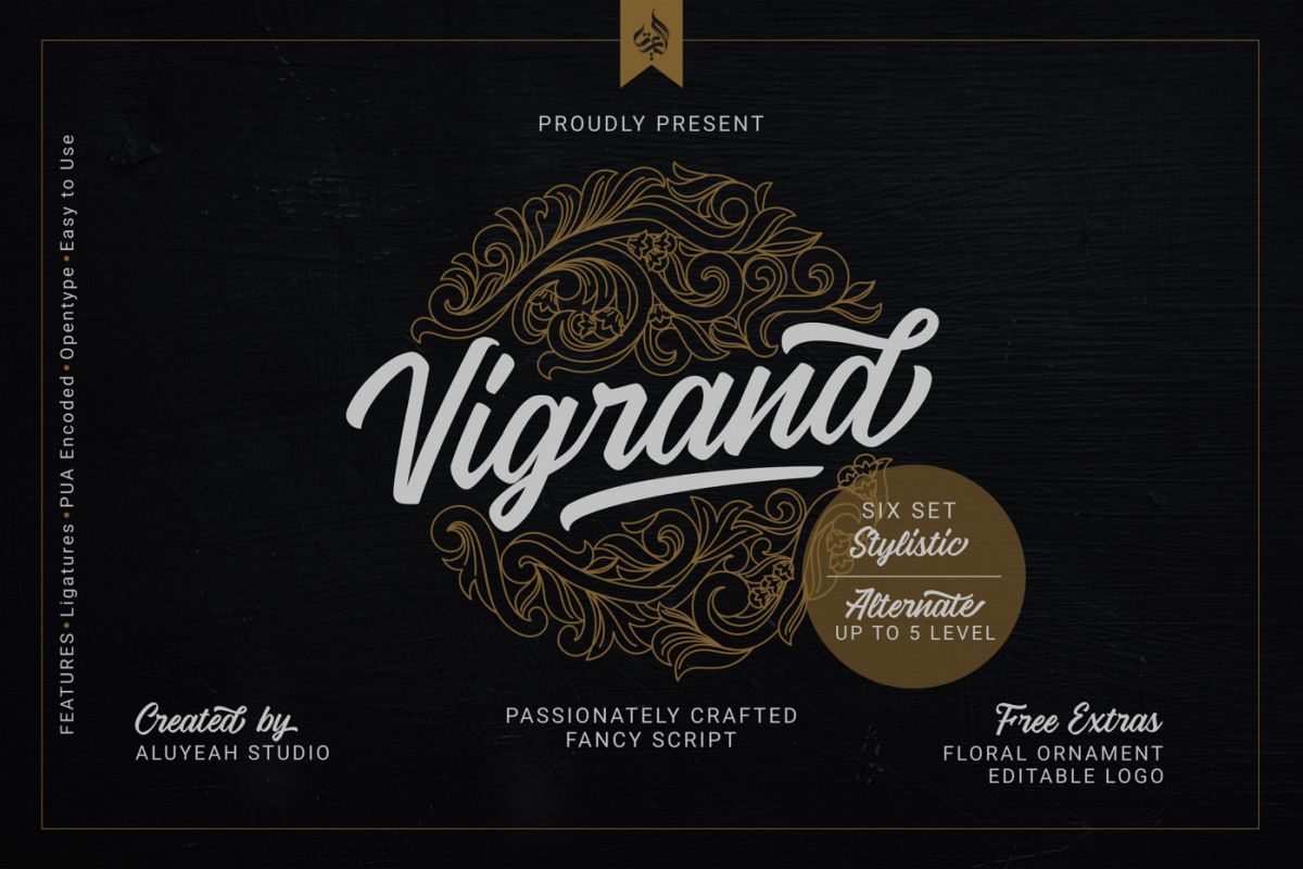 Vigrand Script example image 1