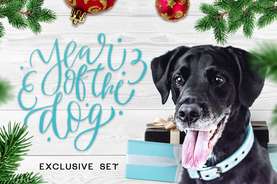 Year of the Dog - exclusive set example image 1