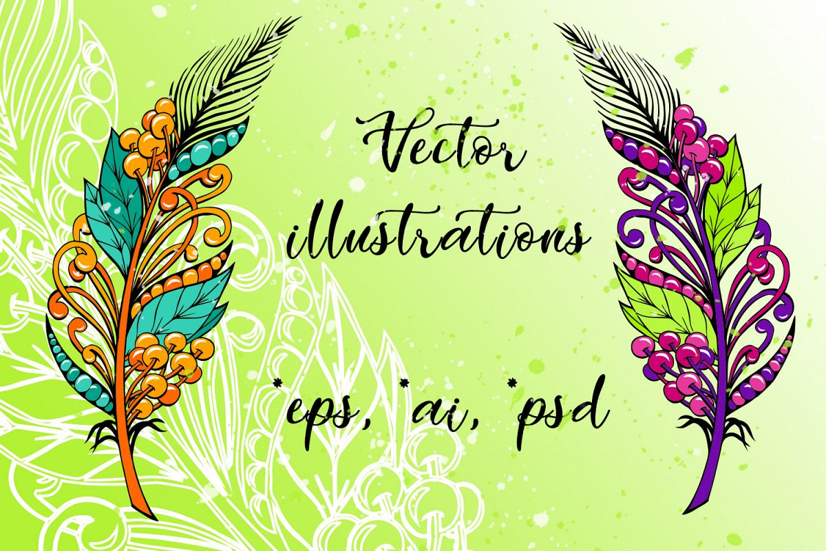 Zendoodle/Boho Feathers example image 1