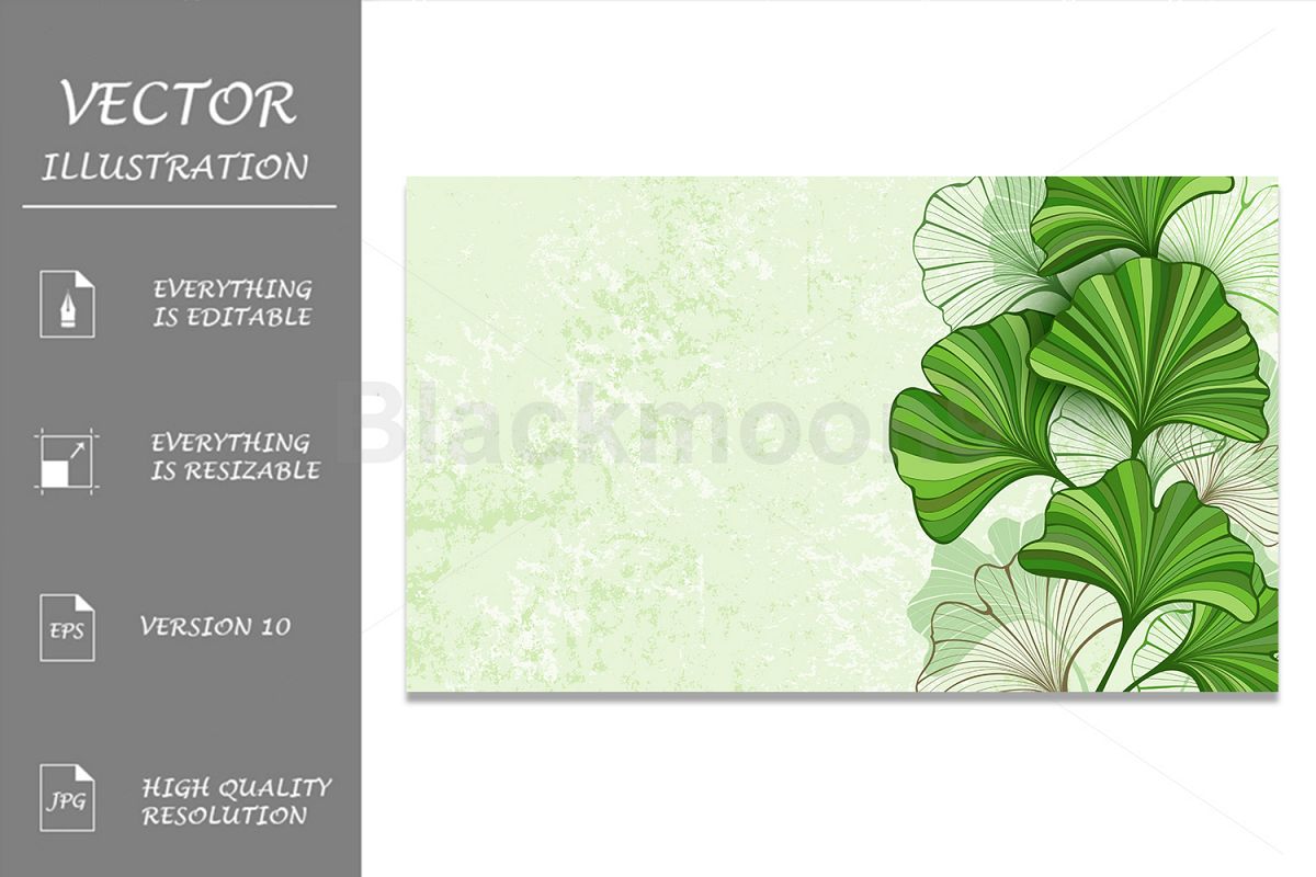 Green Background with Leaves of Ginkgo Biloba example image 1