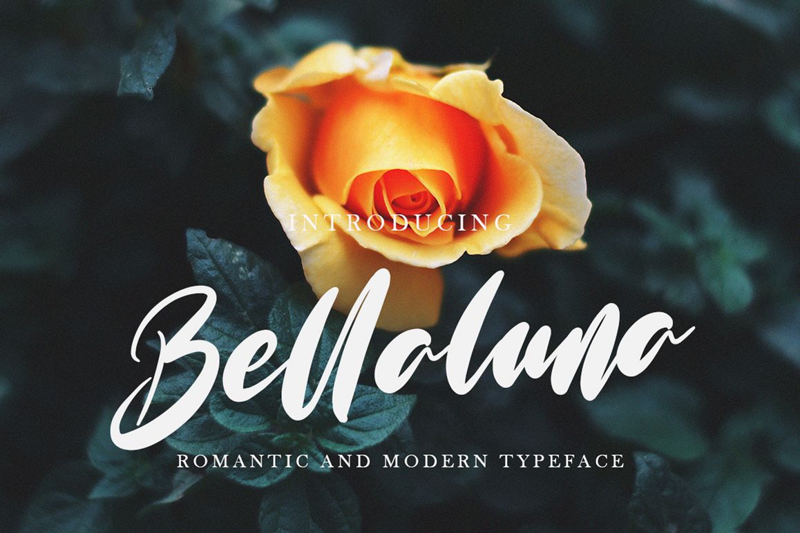 Bellaluna example image 1