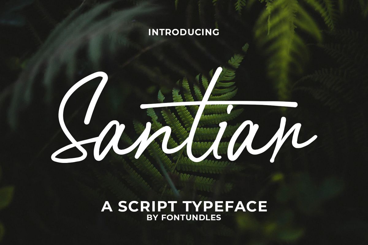 Santiar example image 1