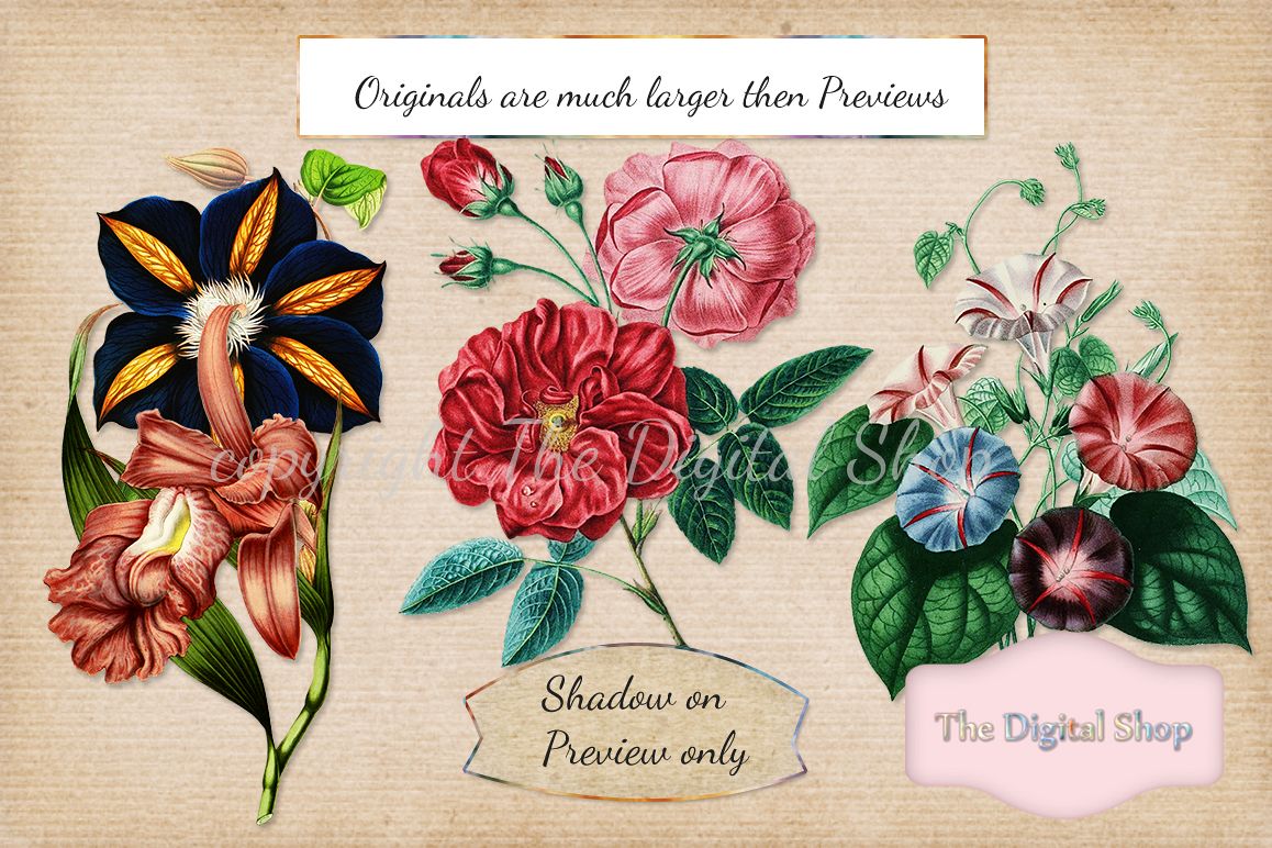 Vintage Flowers Collection example image 1