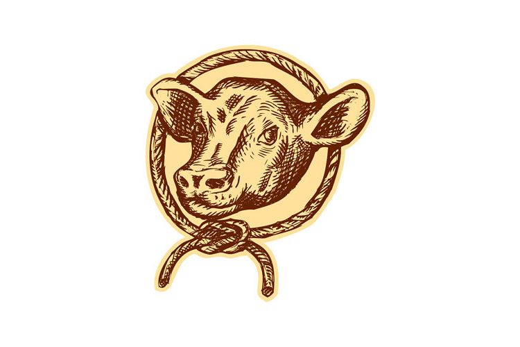 Cow Bull Head Rope Circle Etching example image 1