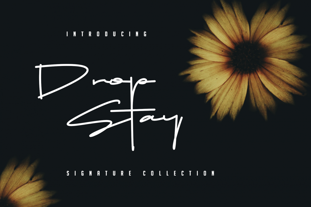 Drop Stay - Signature Font example image 1