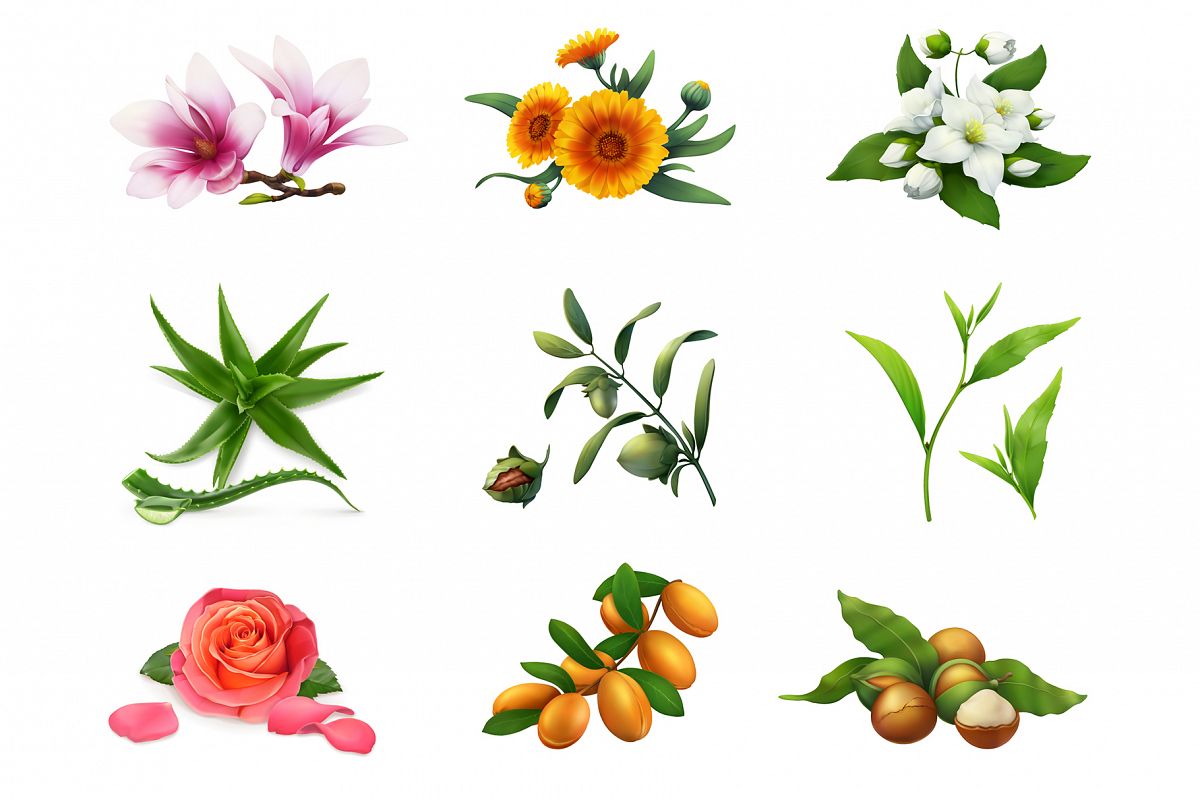 Magnolia, rose, aloe, jasmine, jojoba, macadamia, tea, argan example image 1
