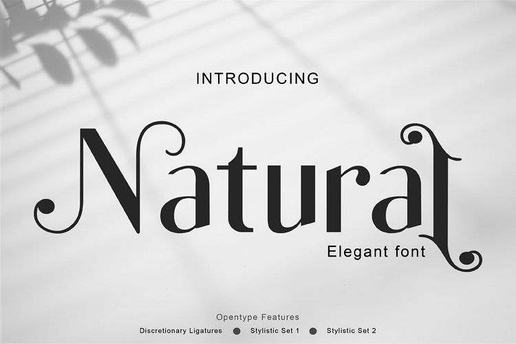 Natural example image 1