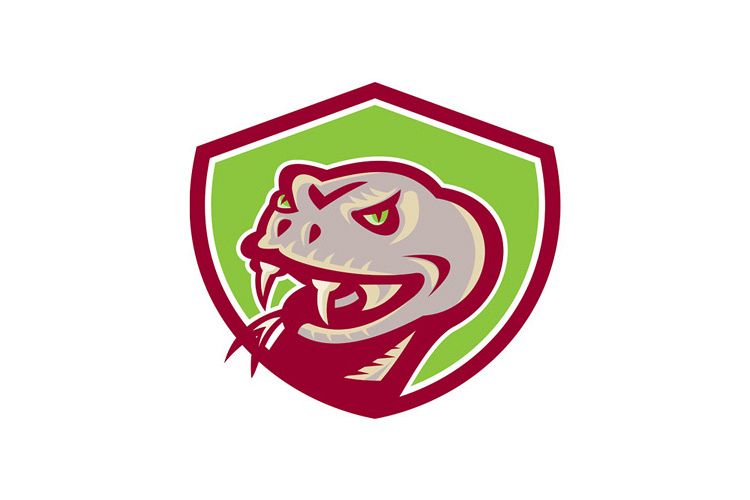Viper Snake Serpent Head Shield Retro example image 1
