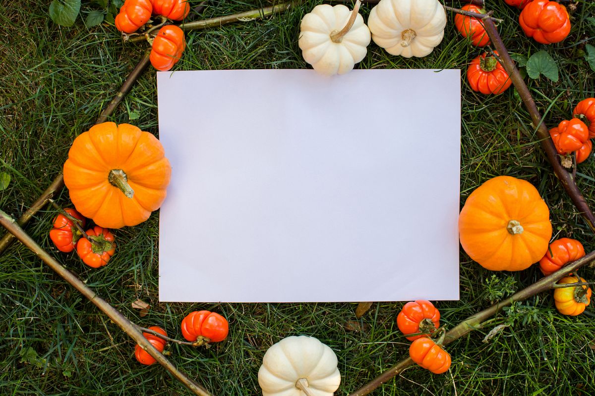 A Lot of different types of pumpkin in great composition for your mockup example image 1