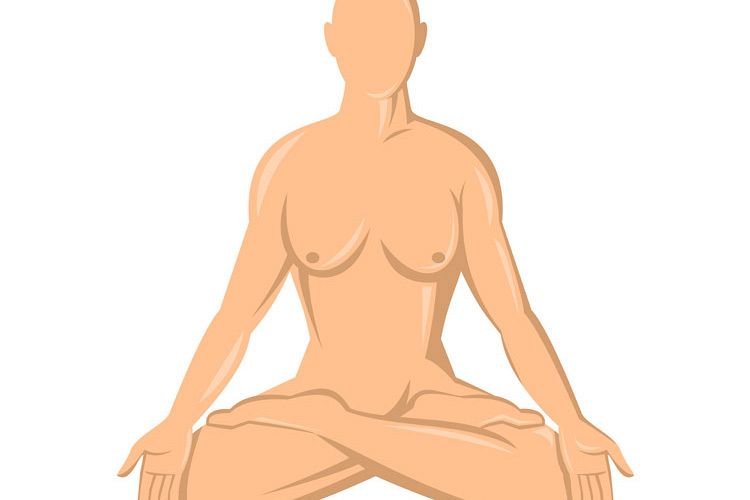 female human anatomy yoga lotus example image 1