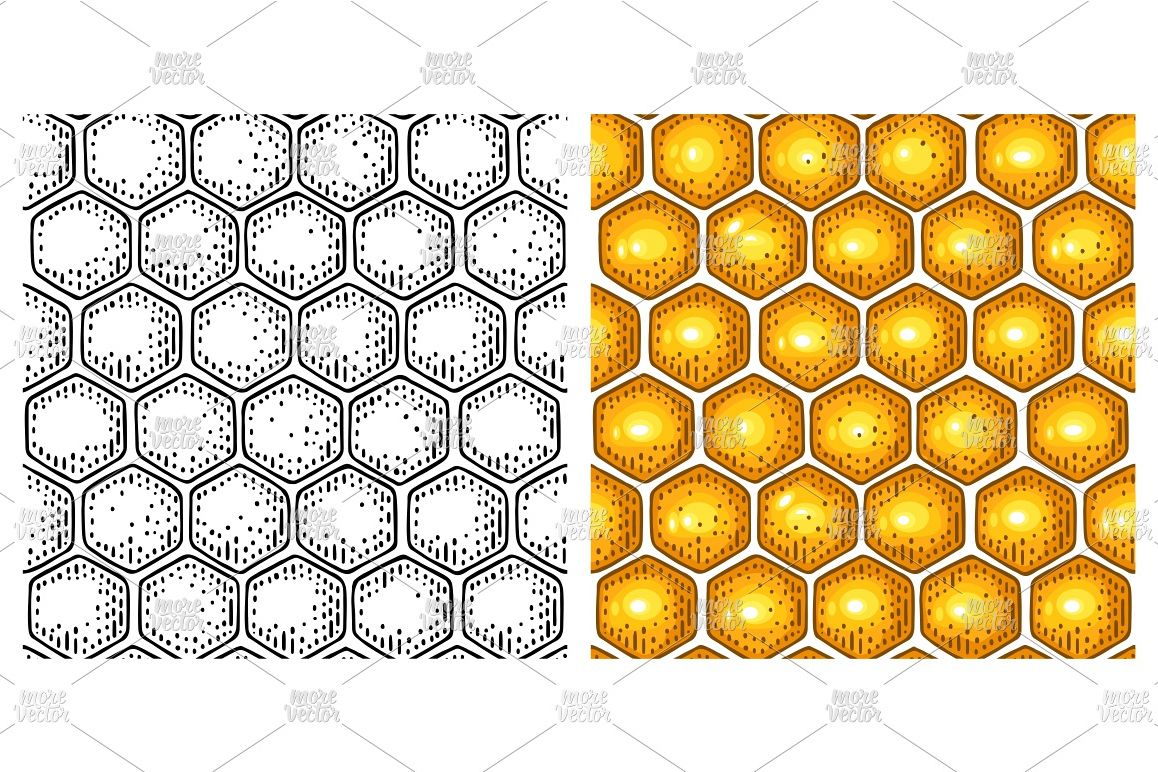 Honey Seamless Pattern honeycomb Vector color engraving example image 1