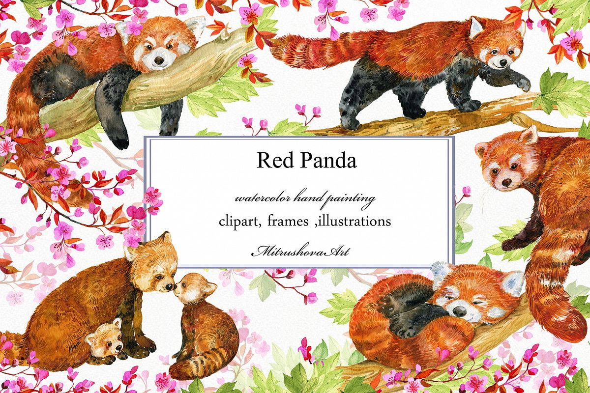 Red Panda ,watercolor illustrations example image 1