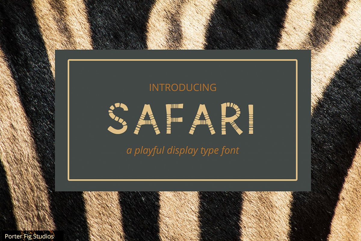 Safari Playful Display Font Typeface example image 1
