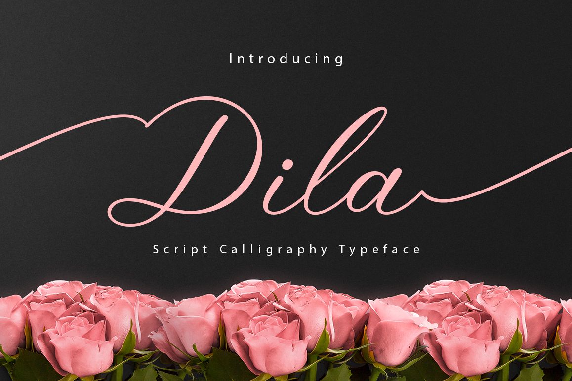 Dila Script example image 1