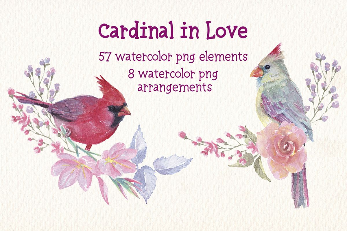 watercolor Cardinal in love clip art example image 1