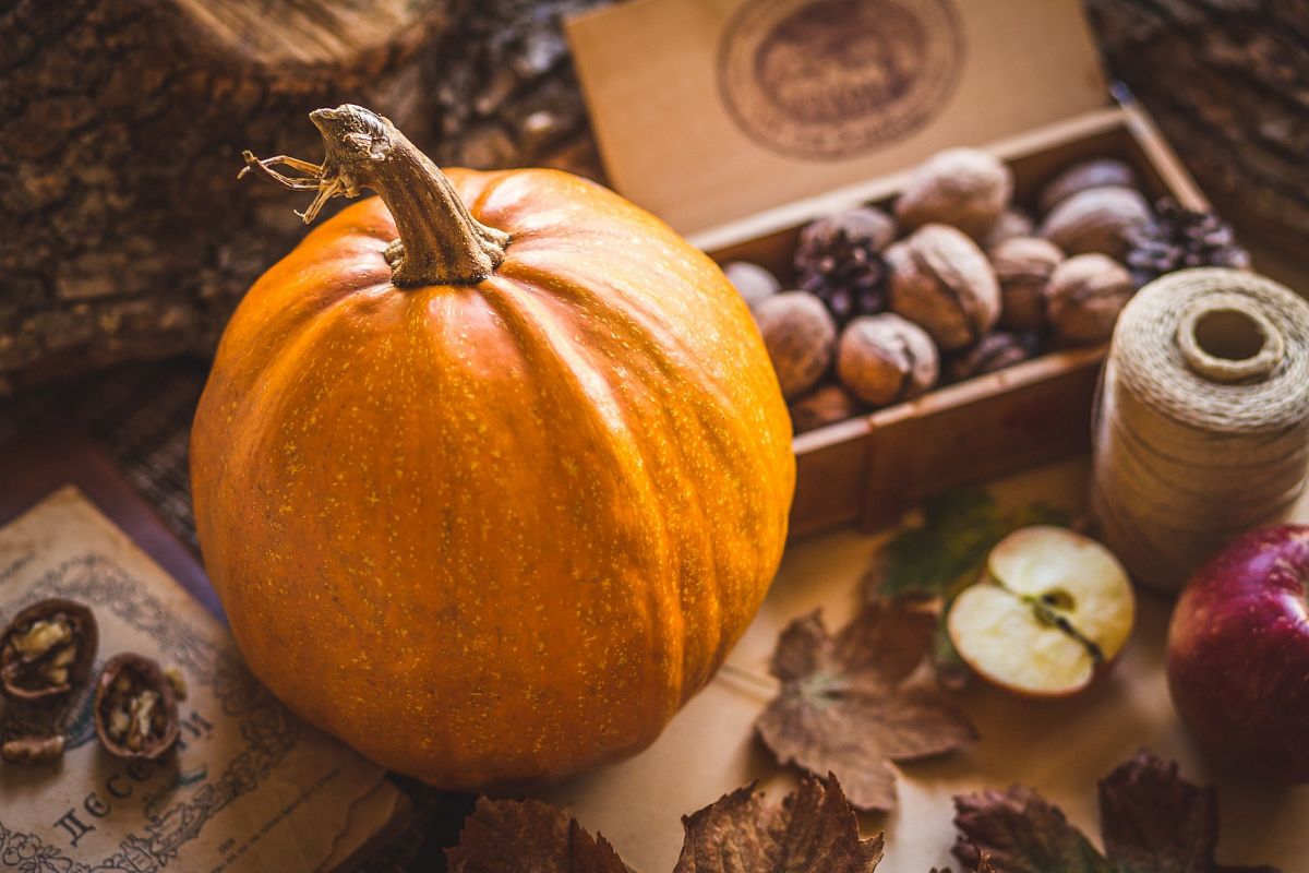 Autumn Pumpkin example image 1