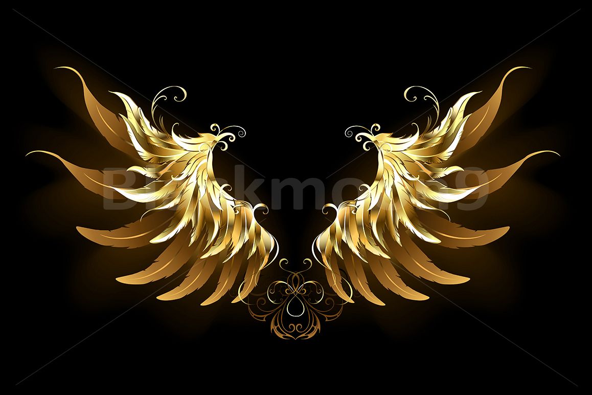 Gold Angel Wings Drawings