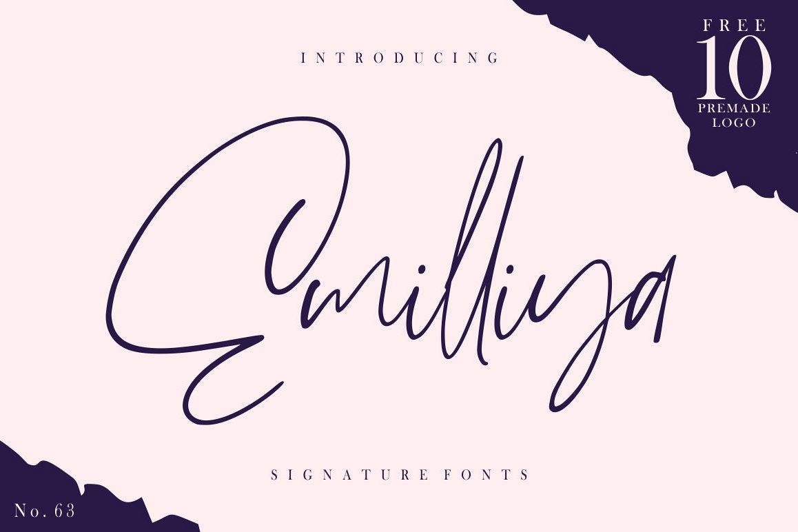 Emilliya - Luxury Signature Font example image 1