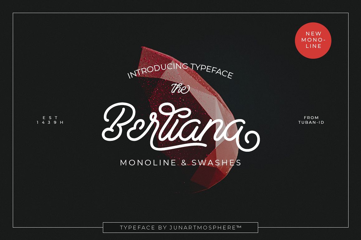 Berliana Monoline Font Extrass Logo example image 1