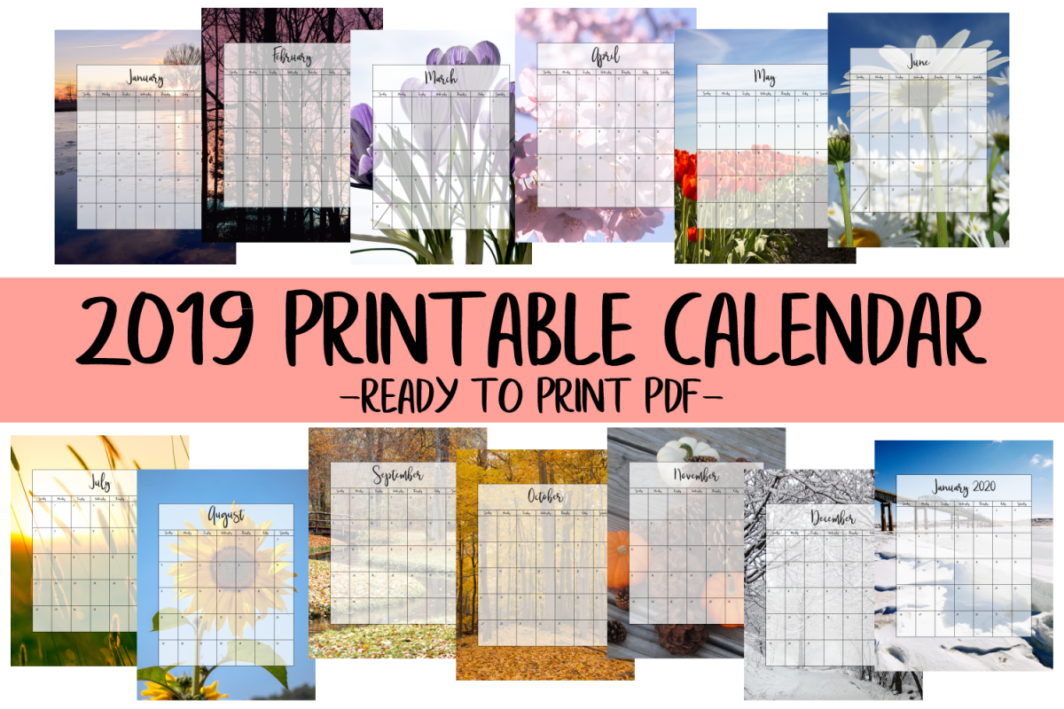 2019 Calendar - Printable PDF example image 1