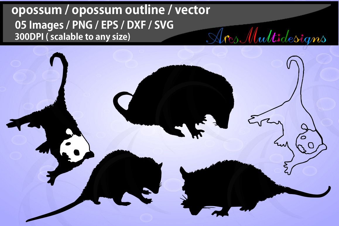 opossum / opossum svg file / opossum vector / opossum silhouette / opossum black and white / Svg / Eps / Dxf / Png / opossum clipart example image 1
