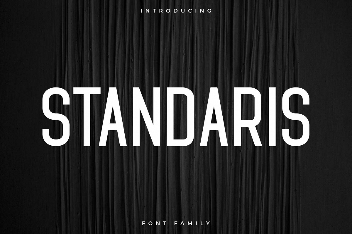 Standaris Font Family Sans Serif example image 1