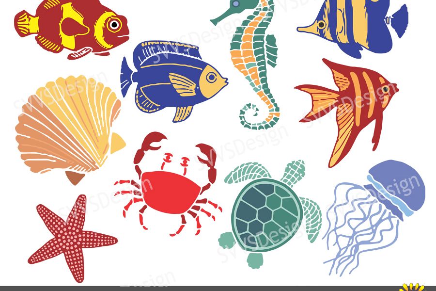 Download Sea Ocean Creatures, Clipart, Vector, SVG, PNG . (vr) (69769) | Illustrations | Design Bundles