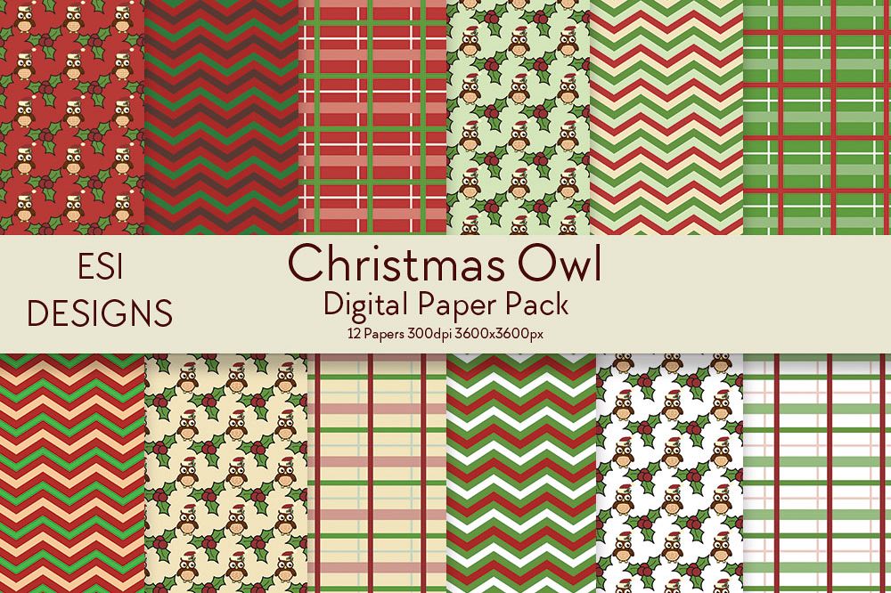 Christmas Owl Digital Paper Pack example image 1