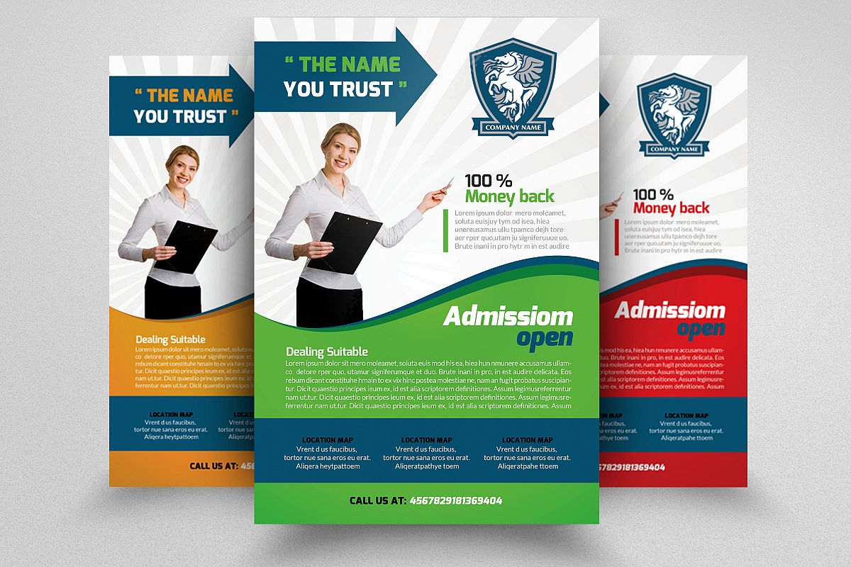 Business Analyst Flyer Template example image 1