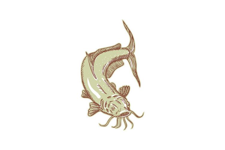 Catfish Mud Cat Diving Etching example image 1