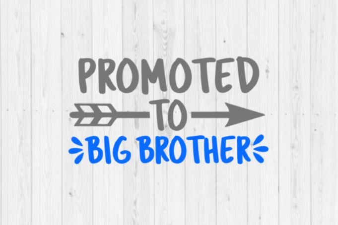 Promoted Big Brother Off 76 Free Shipping