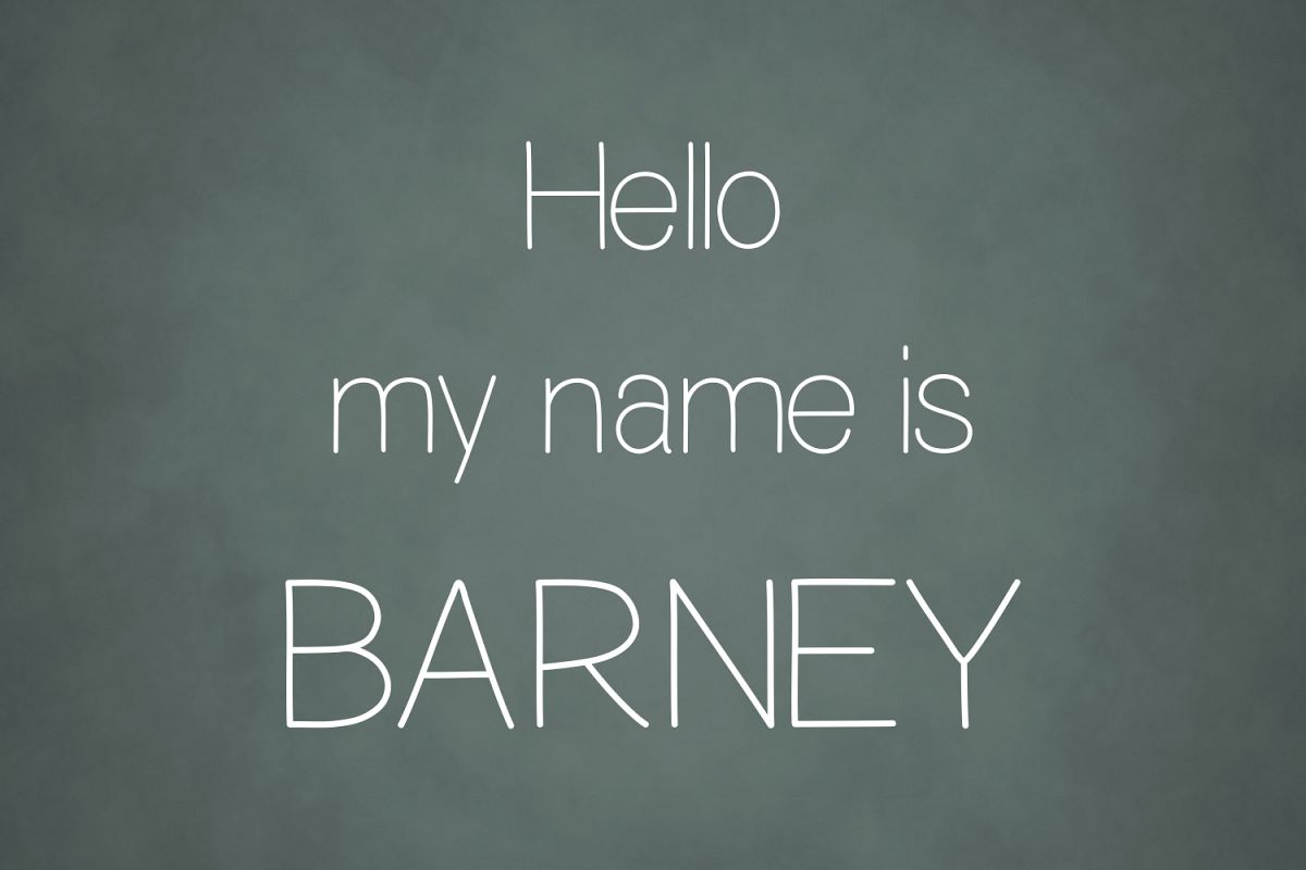 Barney example image 1