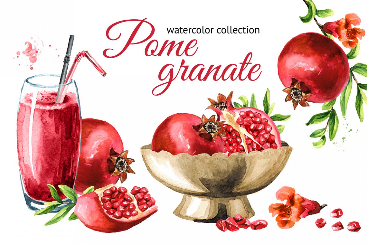 Pomegranate. Watercolor collection example image 1