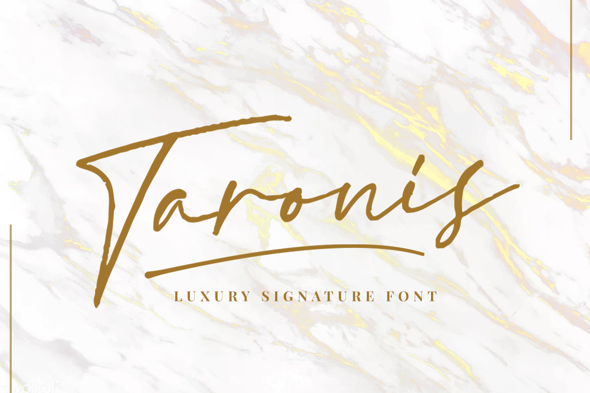 Taronis Signature Font example image 1